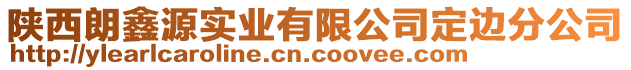 陜西朗鑫源實業(yè)有限公司定邊分公司