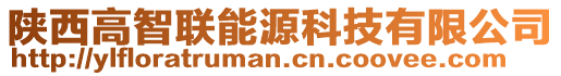 陕西高智联能源科技有限公司