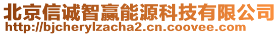 北京信誠智贏能源科技有限公司