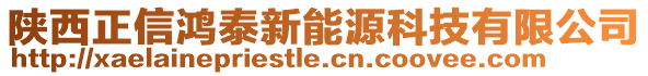 陜西正信鴻泰新能源科技有限公司