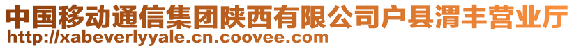 中国移动通信集团陕西有限公司户县渭丰营业厅