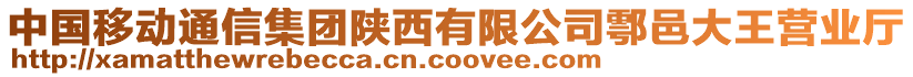 中国移动通信集团陕西有限公司鄠邑大王营业厅