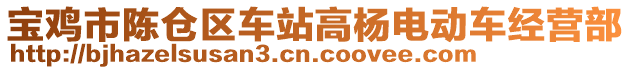 寶雞市陳倉區(qū)車站高楊電動車經(jīng)營部