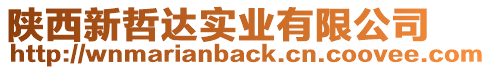 陜西新哲達實業(yè)有限公司