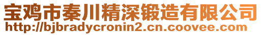 寶雞市秦川精深鍛造有限公司