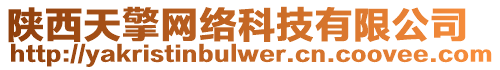 陜西天擎網(wǎng)絡(luò)科技有限公司