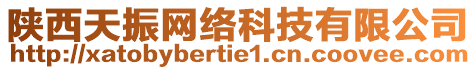 陜西天振網(wǎng)絡(luò)科技有限公司