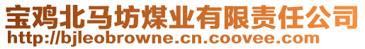 寶雞北馬坊煤業(yè)有限責(zé)任公司