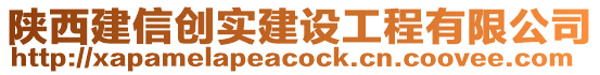 陜西建信創(chuàng)實(shí)建設(shè)工程有限公司