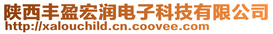 陜西豐盈宏潤(rùn)電子科技有限公司