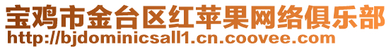 寶雞市金臺區(qū)紅蘋果網(wǎng)絡(luò)俱樂部