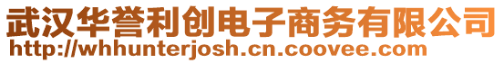 武漢華譽(yù)利創(chuàng)電子商務(wù)有限公司