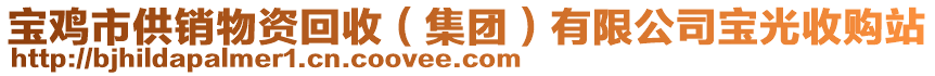 寶雞市供銷物資回收（集團(tuán)）有限公司寶光收購(gòu)站