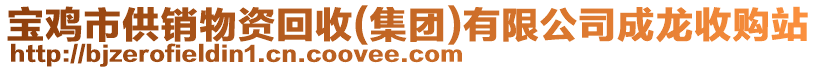 寶雞市供銷物資回收(集團)有限公司成龍收購站