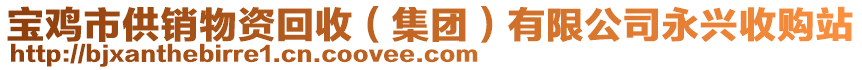 寶雞市供銷物資回收（集團）有限公司永興收購站