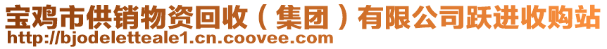 寶雞市供銷物資回收（集團）有限公司躍進收購站