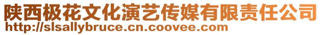 陜西極花文化演藝傳媒有限責(zé)任公司