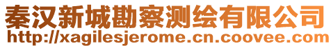 秦漢新城勘察測繪有限公司