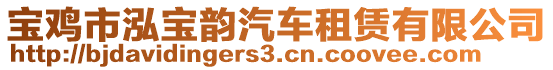 寶雞市泓寶韻汽車租賃有限公司