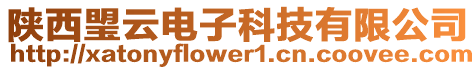 陜西琞云電子科技有限公司