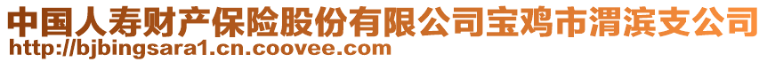 中国人寿财产保险股份有限公司宝鸡市渭滨支公司