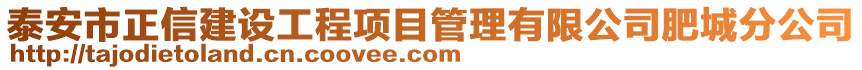 泰安市正信建设工程项目管理有限公司肥城分公司