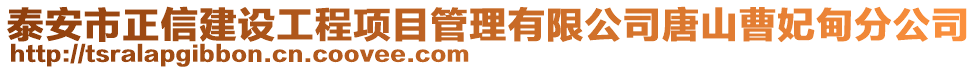 泰安市正信建設(shè)工程項目管理有限公司唐山曹妃甸分公司