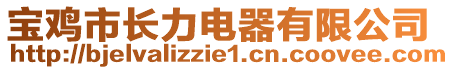 寶雞市長(zhǎng)力電器有限公司