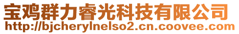 寶雞群力睿光科技有限公司