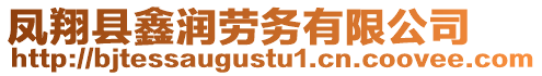 鳳翔縣鑫潤勞務(wù)有限公司