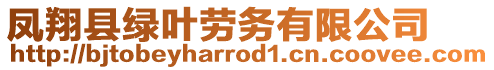 鳳翔縣綠葉勞務(wù)有限公司