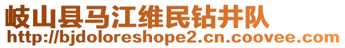 岐山縣馬江維民鉆井隊