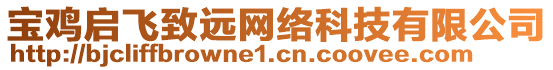 寶雞啟飛致遠(yuǎn)網(wǎng)絡(luò)科技有限公司