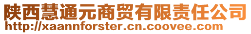 陜西慧通元商貿(mào)有限責任公司