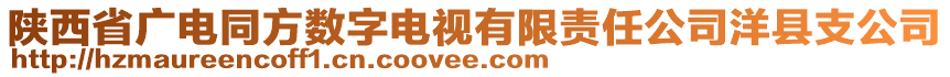 陜西省廣電同方數(shù)字電視有限責(zé)任公司洋縣支公司