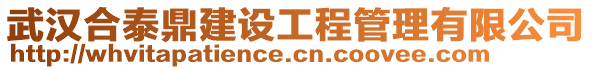 武漢合泰鼎建設工程管理有限公司