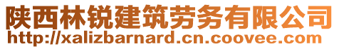 陜西林銳建筑勞務有限公司