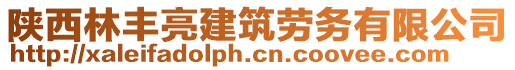 陜西林豐亮建筑勞務(wù)有限公司