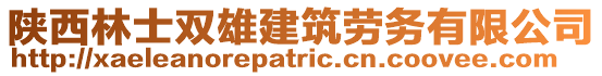 陜西林士雙雄建筑勞務(wù)有限公司