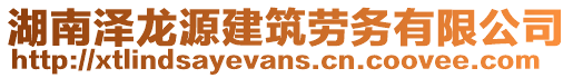 湖南澤龍源建筑勞務有限公司