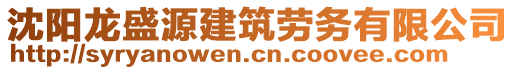 沈陽龍盛源建筑勞務有限公司