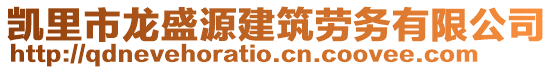 凱里市龍盛源建筑勞務(wù)有限公司