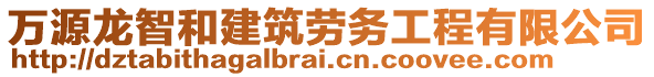 萬源龍智和建筑勞務(wù)工程有限公司