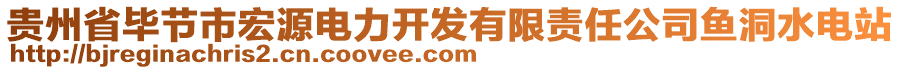 貴州省畢節(jié)市宏源電力開發(fā)有限責任公司魚洞水電站