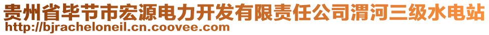 貴州省畢節(jié)市宏源電力開發(fā)有限責(zé)任公司渭河三級水電站