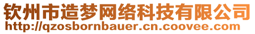 欽州市造夢網絡科技有限公司