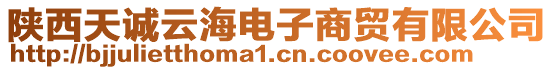 陜西天誠云海電子商貿(mào)有限公司