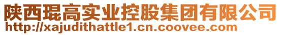 陜西琨高實業(yè)控股集團有限公司