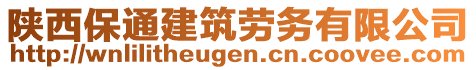 陜西保通建筑勞務(wù)有限公司