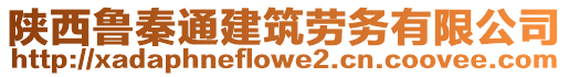 陜西魯秦通建筑勞務(wù)有限公司